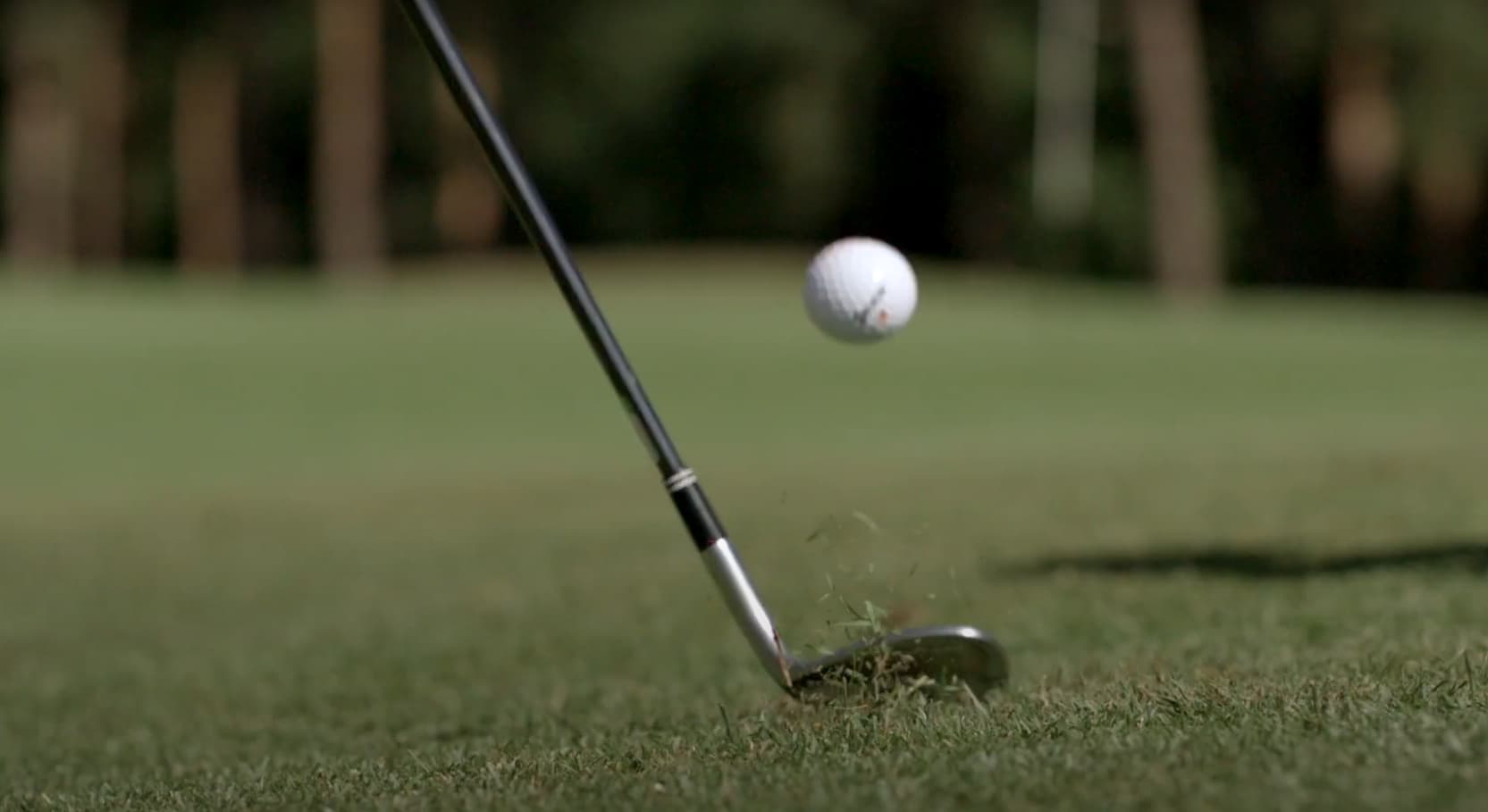 Golf vs. Tennis: Which Sport is Better?