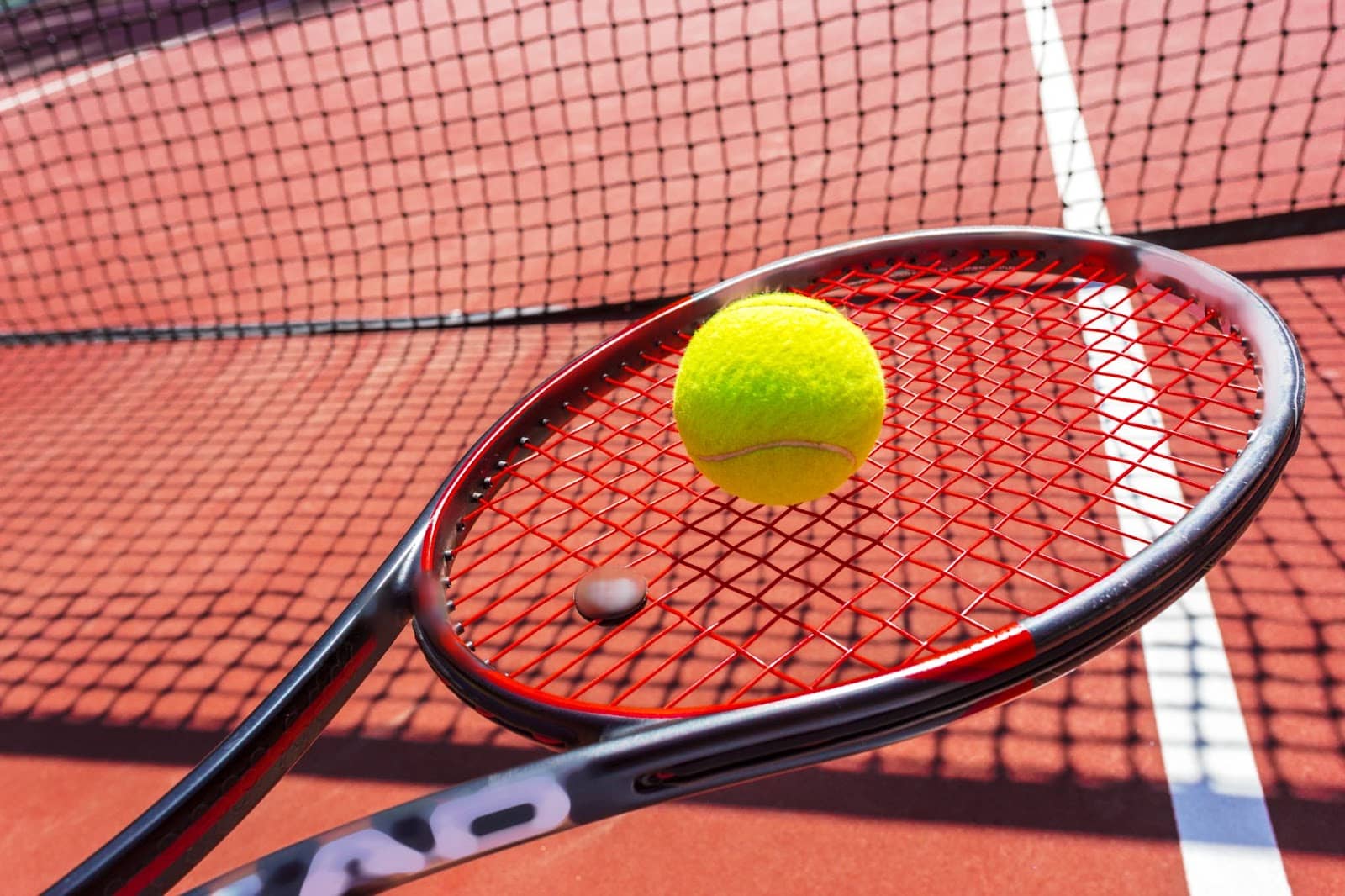 Facts About Tennis: Surprising Insights