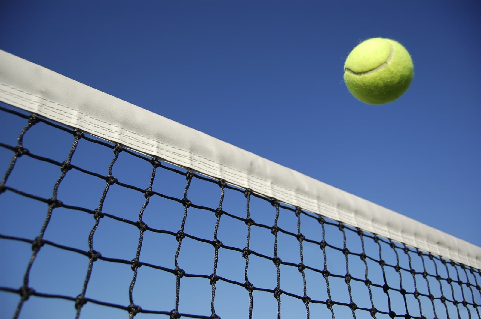Top 5 Best Professional Tennis Moments of the Past Year
